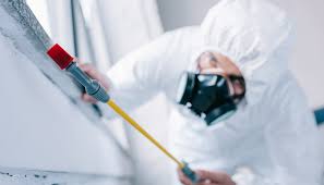 Best Residential Pest Control  in Mccrory, AR